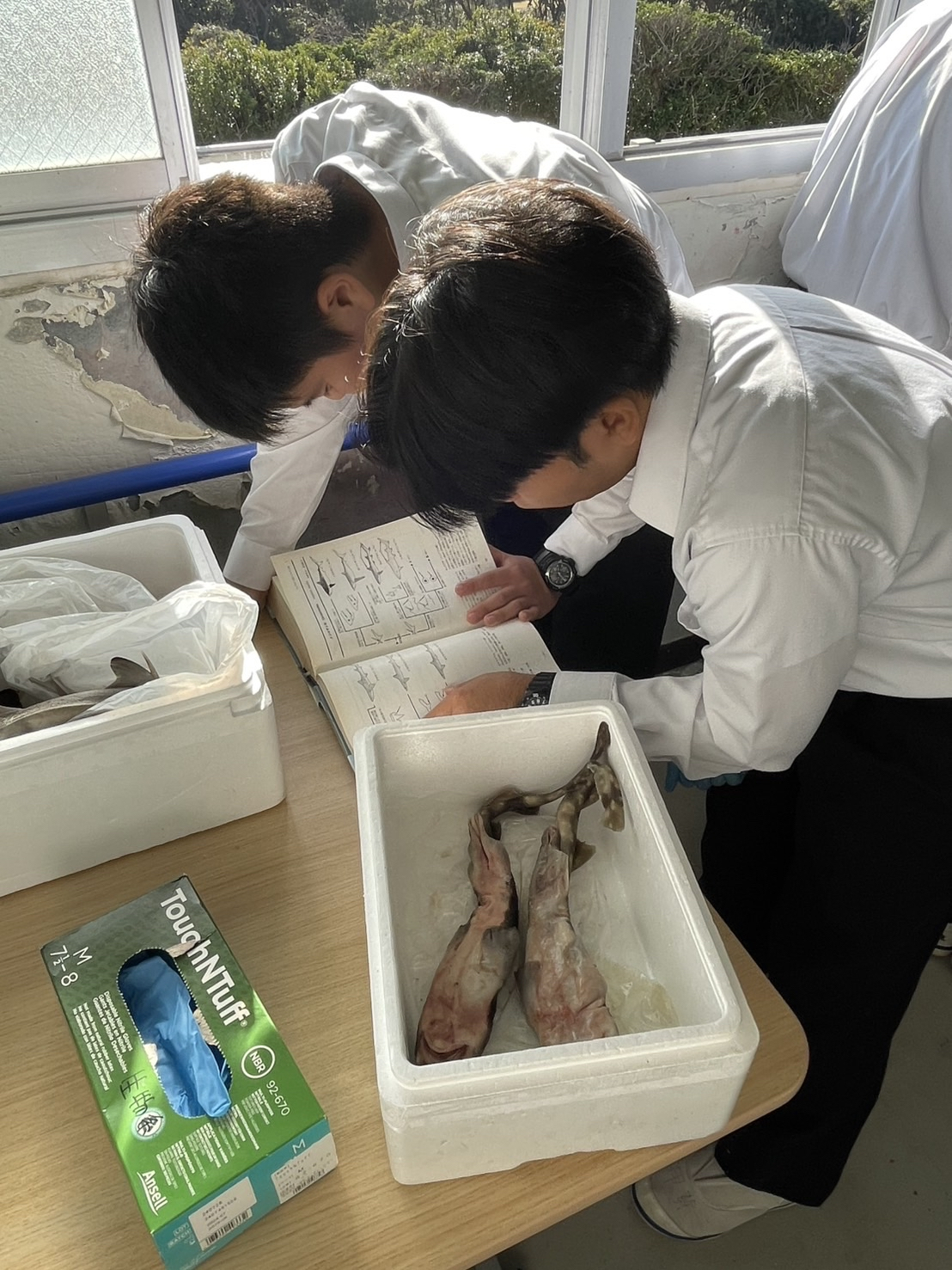 Image - 2025-12-01T173123.681